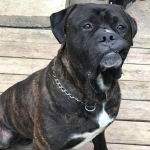 Meet your Posher, Ronald